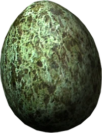 Rock warbler egg
