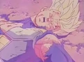 Trunks hurt2