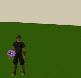 Bouquet