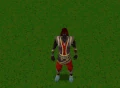 Bull roarer swinging.gif