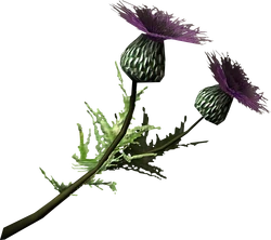 Thistle branch
