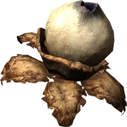 Swamp fungal pod