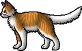 Mapleshade.rogue.alt.png