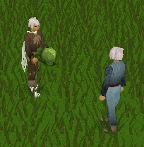 Cabbage throwing