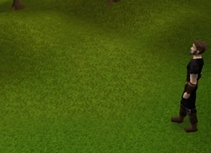 Cannon setup