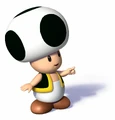 Black ToadNSMBAS