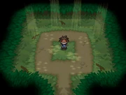 A Hidden Grotto
