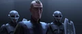 Vizsla welcomes Satine.png