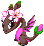 SakuraDragonBaby