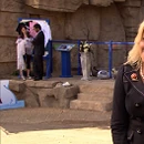 Zoo cropped