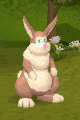 Easter Bunny retires