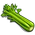 Celery-icon