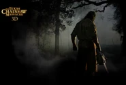 Texas chainsaw massacre3d