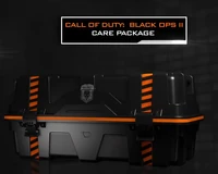 Care Package Edition BOII
