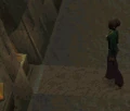 Goblin priest.gif