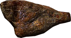 Horse haunch