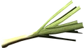 Leek.png