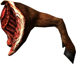 Leg of goat