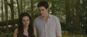Bd2-bella-edward-500