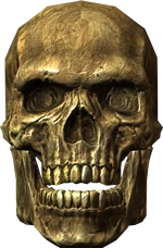 Ancient traveler's skull