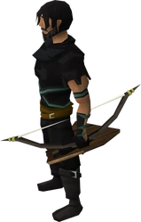 Shieldbow equipped