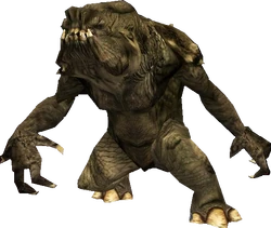 Rancor
