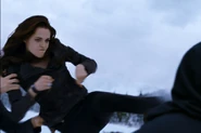 Bellavolturi