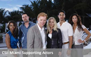 Csimiamisupportingactors