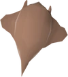 Ray detail