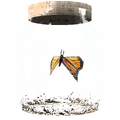 TESV Butterfly In A Jar Crop.png