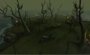Salamander hunting area
