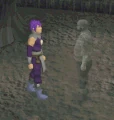 Spirit Summer Emotes.gif