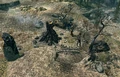 Broken limb camp.png
