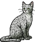 Ferncloud.warrior