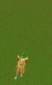 Summoning emote old.gif