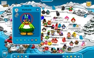 Sleet hackers