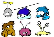 Pufflej.