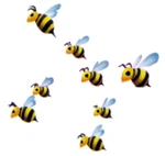 Abejas KH