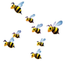 Abejas KH