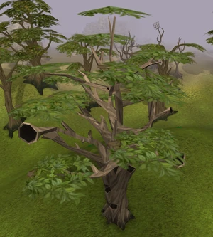 Swaying tree