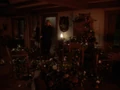 Camellias.jpg