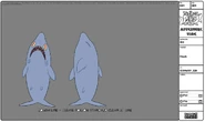 Modelsheet shark