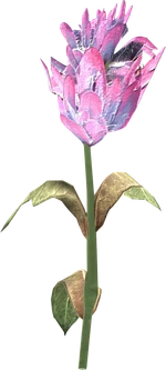 Purple mountain flower
