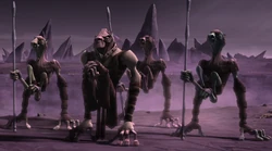 Dug Council
