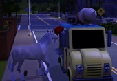 Sims6