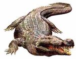 Deinosuchus