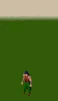 Agility Emote.gif