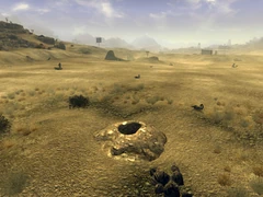 Scorpion burrow