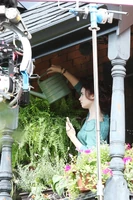Lilly Collins pic