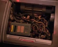 D'Arsay snakes.jpg